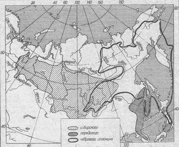Карта арела сосны сибирская